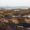 Bass Rock North Berwick