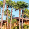 2020-02-19 14_54_41-St Regis Punta Mita Resort and Spa - Google Search.png