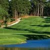 innisbrook_copperhead.jpg